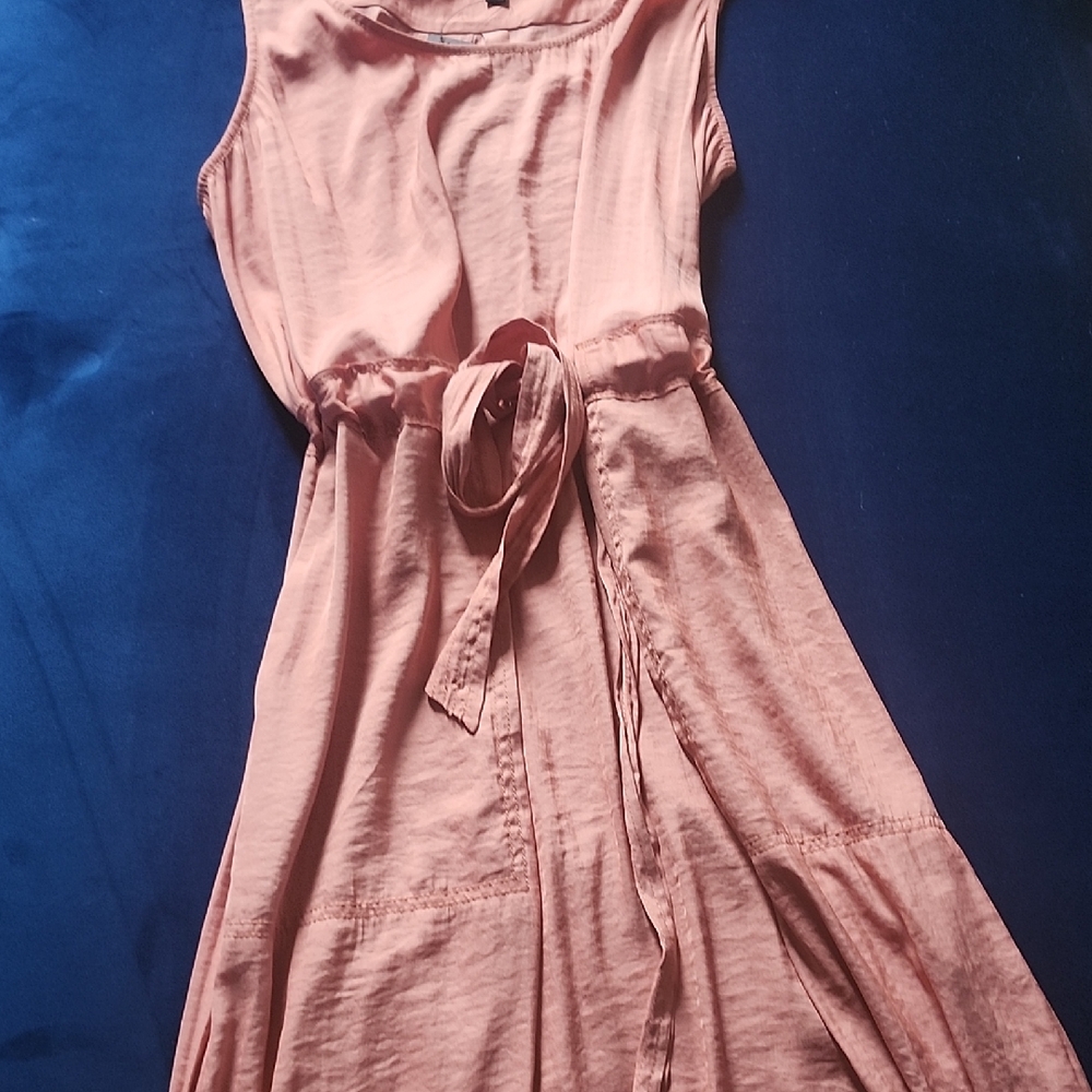 Banana Republic Pink Maxi Dress